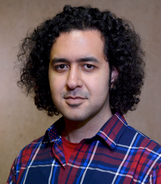 Ardalan Amiri Sani